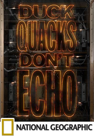 Duck Quacks Don't Echo